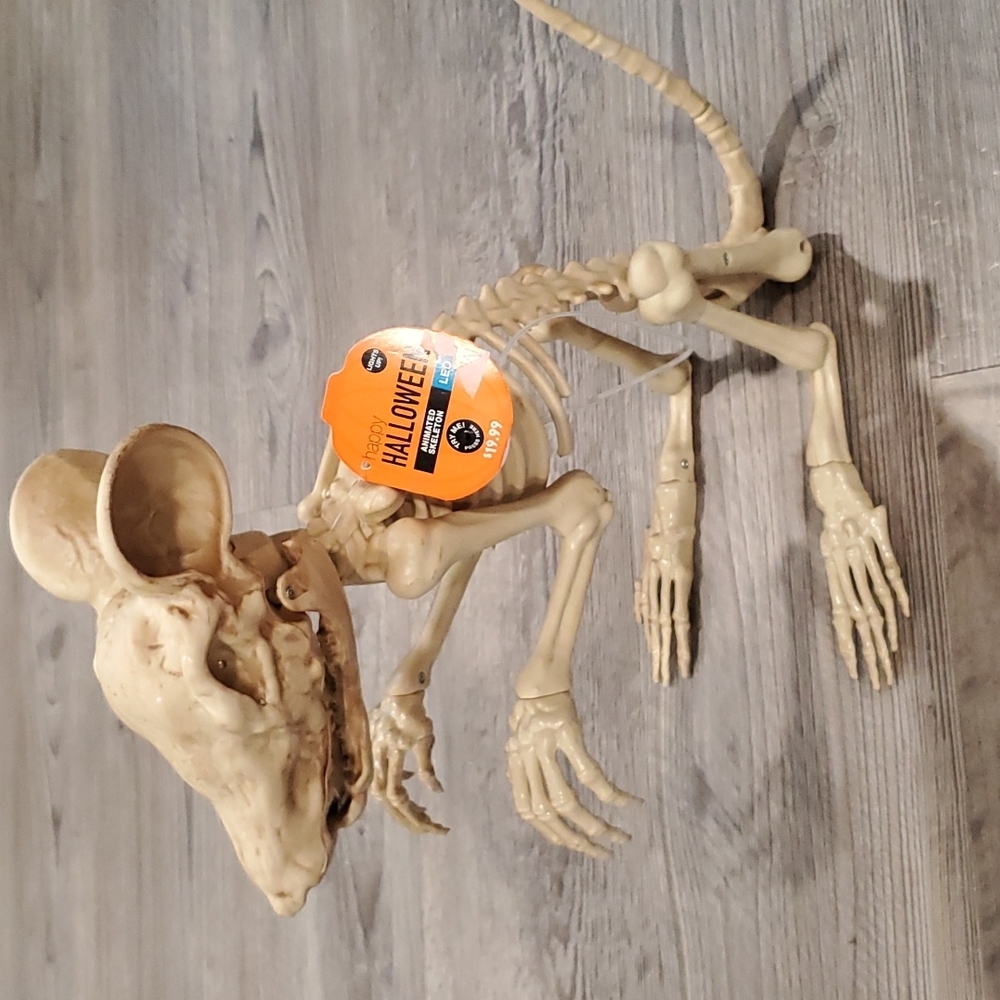 Happy Halloween Animated Skeleton with LED Lights